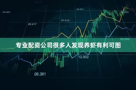 专业配资公司很多人发现养虾有利可图